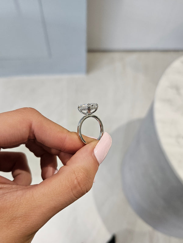 4.05ct Emerald Cut Lab Grown Double-Claw Audrey Design Platinum